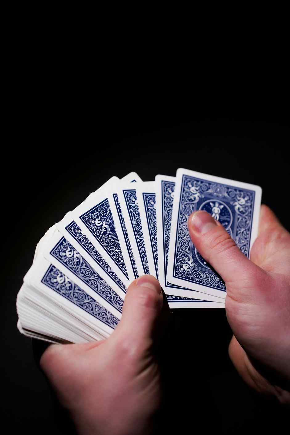 https://dachbetcasinos.com/